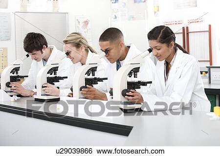 Stock Photograph - Biology lesson.. Fotosearch