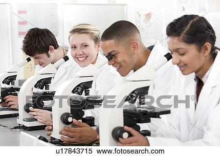 Biology lesson. View Large Photo Image Stock Photography - Biology lesson.. Fotosearch