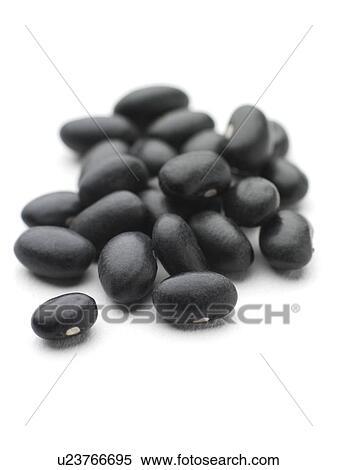 Stock Photography - Black turtle beans.. Fotosearch
