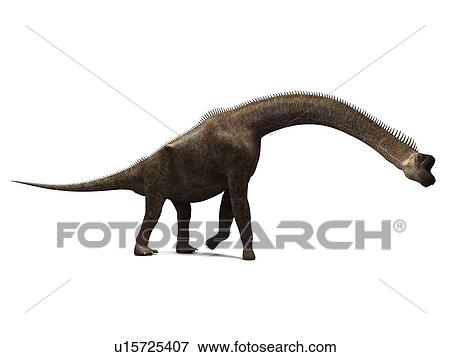 brachiosaurus tallest dinosaur