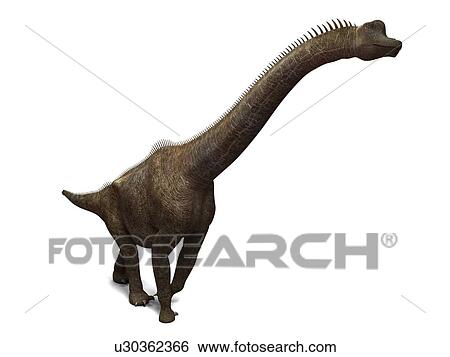 brachiosaurus tallest dinosaur