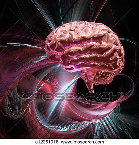 Brain research, conceptual computer artwork. View Large Photo Image Stock Photograph - Brain research, conceptual computer artwork.. Fotosearch