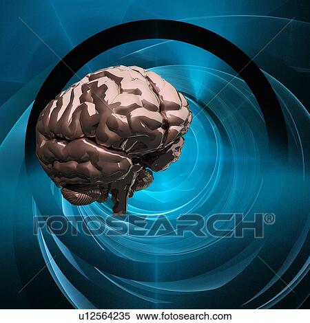 Brain research, conceptual computer artwork. View Large Photo Image Stock Photography - Brain research, conceptual computer artwork.. Fotosearch
