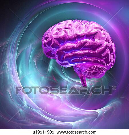 Stock Photography - Brain research, conceptual computer artwork.. Fotosearch