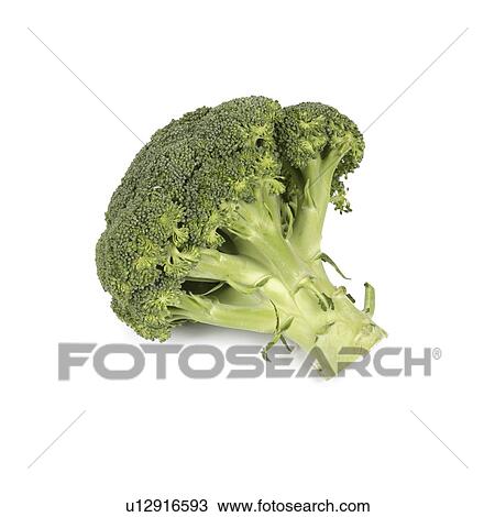Stock Image - Broccoli (Brassica oleracea Italica group).. Fotosearch