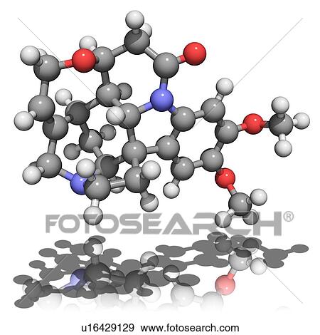 Stock Photo - Brucine, molecular model. This bitter alkaloid is found in several plant species. Atoms are represented as spheres and are colour-coded: carbon (grey), hydrogen (white), oxygen (red) and nitrogen (blue).. Fotosearch