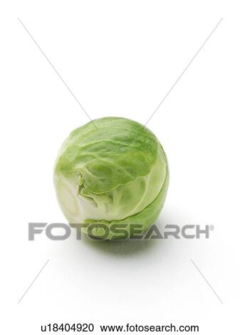 Stock Image - Brussels sprout.. Fotosearch