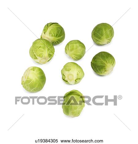 Brussels sprouts. View Large Photo Image Stock Photography - Brussels sprouts.. Fotosearch