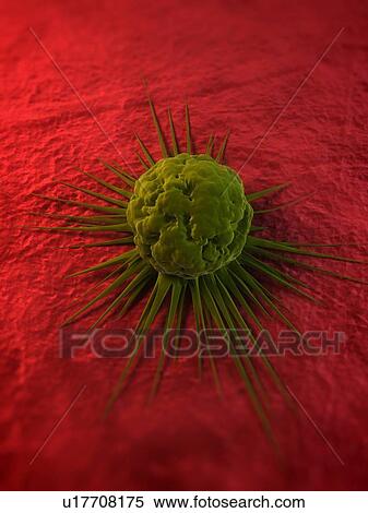Stock Photography - Cancer cell, computer artwork. The uneven surface and cytoplasmic projections are characteristic of cancer cells.. Fotosearch