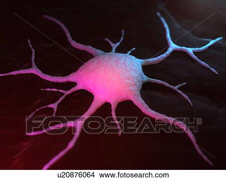 Cancer cell, conceptual computer artwork. The uneven surface and cytoplasmic projections are characteristic of cancer cells. View Large Photo Image Picture - Cancer cell, conceptual computer artwork. The uneven surface and cytoplasmic projections are characteristic of cancer cells.. Fotosearch