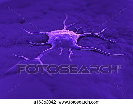 Cancer cell, conceptual computer artwork. The uneven surface and cytoplasmic projections are characteristic of cancer cells. View Large Photo Image Stock Image - Cancer cell, conceptual computer artwork. The uneven surface and cytoplasmic projections are characteristic of cancer cells.. Fotosearch