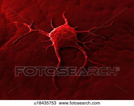 Cancer cell, conceptual computer artwork. The uneven surface and cytoplasmic projections are characteristic of cancer cells. View Large Photo Image Stock Image - Cancer cell, conceptual computer artwork. The uneven surface and cytoplasmic projections are characteristic of cancer cells.. Fotosearch