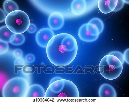 Stock Image - Cells, conceptual computer artwork.. Fotosearch