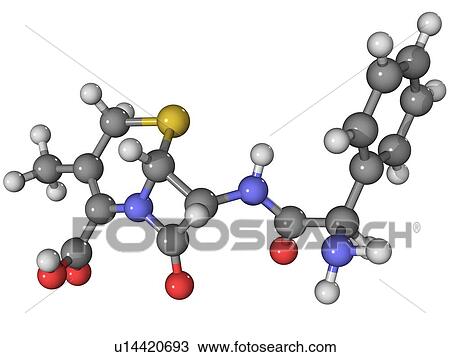 Stock Image - Cephalexin, molecular model. This antibiotic is sold under the brand name Keflex. Atoms are represented as spheres and are colour-coded: carbon (grey), hydrogen (white), oxygen (red), nitrogen (blue) and sulphur (yellow).. Fotosearch