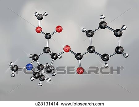 Cocaine drug, molecular model. Atoms are represented as spheres and are colour-coded: carbon (black), hydrogen (silver), oxygen (red) and nitrogen (blue). View Large Photo Image Picture - Cocaine drug, molecular model. Atoms are represented as spheres and are colour-coded: carbon (black), hydrogen (silver), oxygen (red) and nitrogen (blue).. Fotosearch