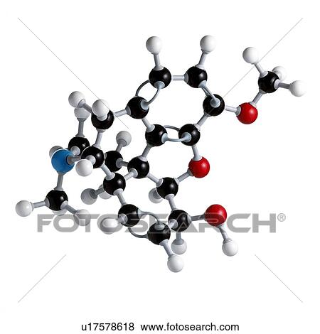 Codeine drug molecule. Atoms are represented as spheres and are colour-coded: carbon (black), hydrogen (white), nitrogen (blue) and oxygen (red). View Large Photo Image Stock Photo - Codeine drug molecule. Atoms are represented as spheres and are colour-coded: carbon (black), hydrogen (white), nitrogen (blue) and oxygen (red).. Fotosearch