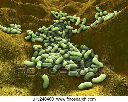 Stock Image - Computer artwork depicting a cluster of bacteria.. Fotosearch