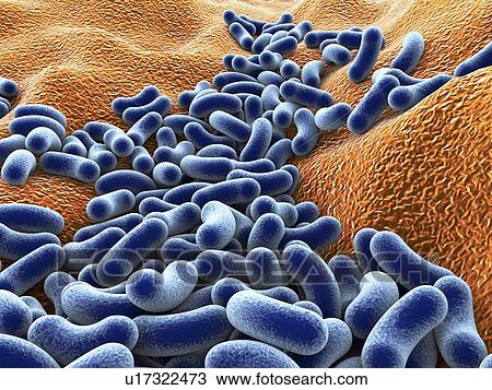 Stock Image - Computer artwork depicting a cluster of bacteria.. Fotosearch