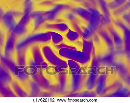 Stock Image - Computer artwork depicting a cluster of bacteria.. Fotosearch