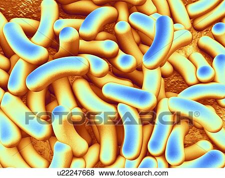 Computer artwork depicting a cluster of bacteria. View Large Photo Image Stock Photo - Computer artwork depicting a cluster of bacteria.. Fotosearch