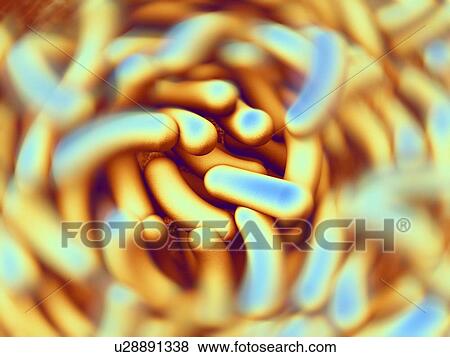 Computer artwork depicting a cluster of bacteria. View Large Photo Image Stock Photo - Computer artwork depicting a cluster of bacteria.. Fotosearch