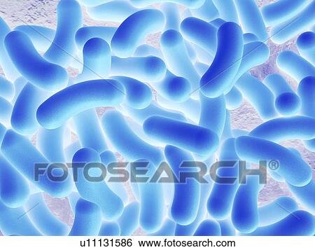 Stock Photograph - Computer artwork depicting a cluster of bacteria.. Fotosearch