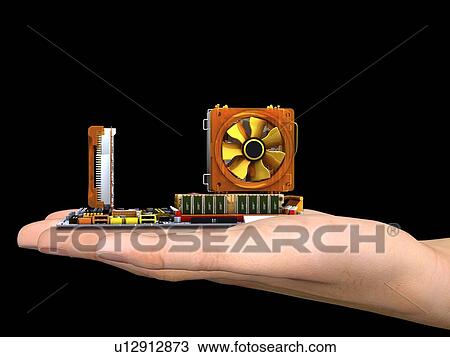 Stock Image - Computer artwork of a hand holding a computer motherboard, the main circuit board of a personal computer (PC). Motherboard components include transistors, diodes, resistors, capacitors and inductors. Motherboards contain the main processing parts of a com. Fotosearch