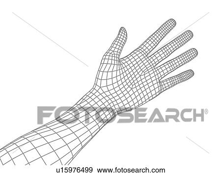 Stock Photo - Computer artwork of a human hand and arm depicted in wireframe style.. Fotosearch