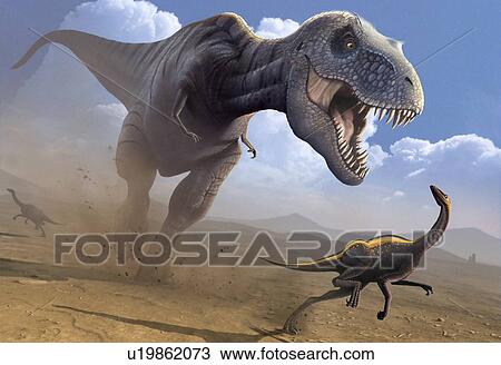 Stock Image - Computer artwork of a Tyrannosaurus rex dinosaur hunting an Ornithomimus dinosaur. T. rex was among the largest carnivorous dinosaurs. It was about 6 metres tall and weighed about 7 tonnes. T. rex lived in North America and Asia during the late Cretaceous. Fotosearch