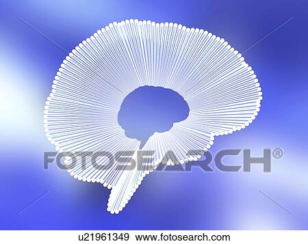 Stock Photo - Computer artwork of an outline of a human brain, represented by light rays.. Fotosearch