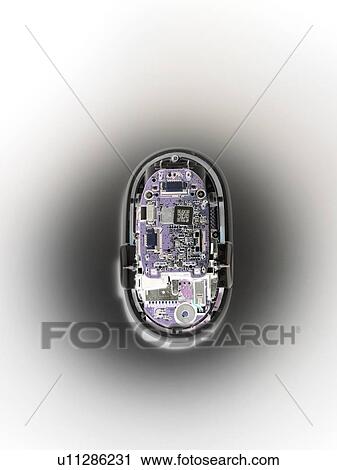 Computer mouse interior. View Large Photo Image Stock Image - Computer mouse interior.. Fotosearch