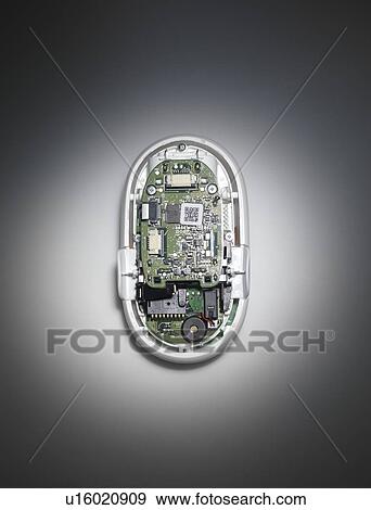 Computer mouse interior. View Large Photo Image Stock Photo - Computer mouse interior.. Fotosearch