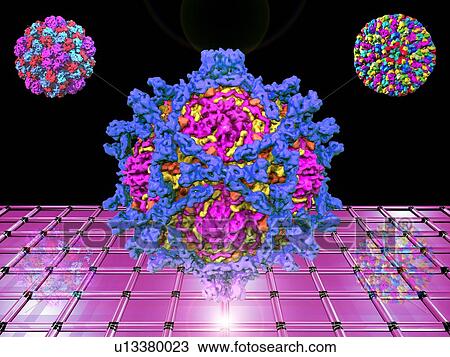 Computer virus, conceptual computer artwork. View Large Photo Image Stock Image - Computer virus, conceptual computer artwork.. Fotosearch