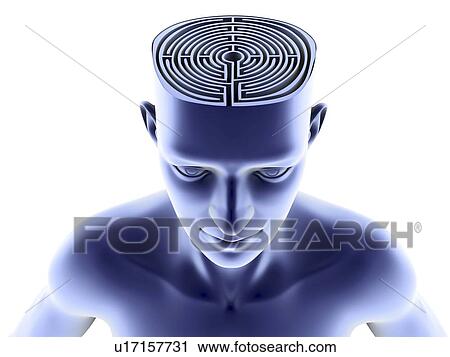 Stock Image - Conceptual artwork of a head with an exposed maze in the place of a brain. This could represent loss of memory, confusion and Alzheimer's disease.. Fotosearch