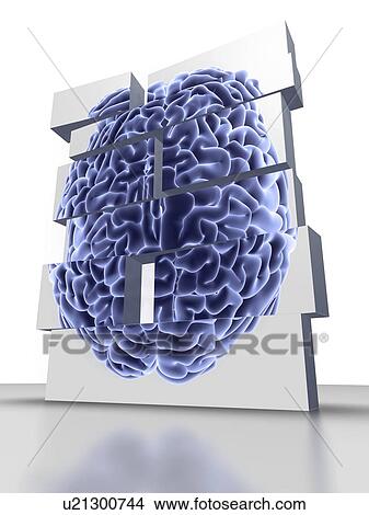 Picture - Conceptual computer artwork of building blocks with the top view of a brain, representing Alzheimer's disease or brain disorder.. Fotosearch