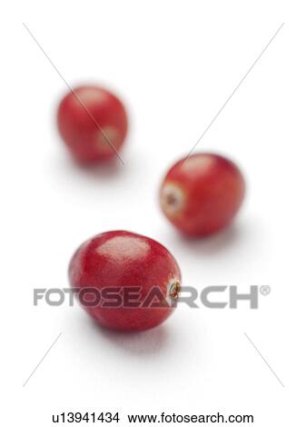 Cranberries. View Large Photo Image Picture - Cranberries.. Fotosearch