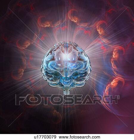 Stock Photo - Creation, conceptual computer artwork.. Fotosearch