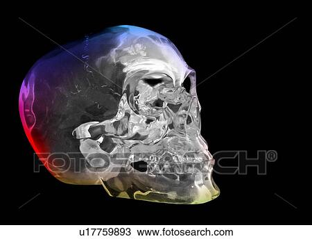 Crystal skull, computer artwork. View Large Photo Image Stock Image - Crystal skull, computer artwork.. Fotosearch