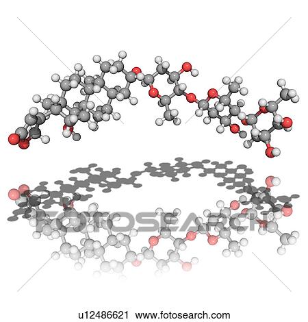 Stock Image - Digitoxin, molecular model. This heart drug is obtained from the foxglove plant. Atoms are represented as spheres and are colour-coded: carbon (grey), hydrogen (white) and oxygen (red).. Fotosearch