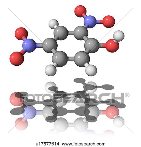 Picture - Dinitrophenol, molecular model. Dinitrophenol is used in the production of explosives, pesticides and wood preservers. It is also used as a diet aid, as it increases metabolism, but this use is banned in most countries. Atoms are represented as spheres an. Fotosearch
