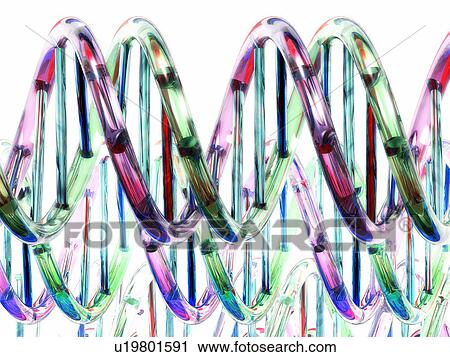 Stock Image - DNA molecules, computer artwork.. Fotosearch
