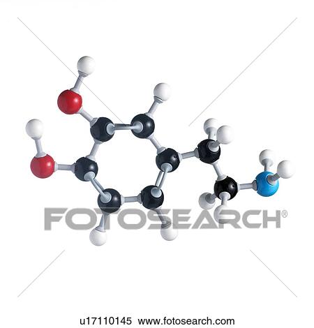 Stock Photography - Dopamine neurotransmitter molecule. Atoms are represented as spheres and are colour-coded: carbon (black), hydrogen (white), nitrogen (blue) and oxygen (red).. Fotosearch