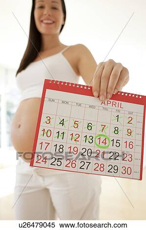 Stock Photography - Due date. Pregnant woman holding a calendar.. Fotosearch