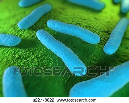 Escherichia coli bacteria, computer artwork. View Large Photo Image Stock Image - Escherichia coli bacteria, computer artwork.. Fotosearch