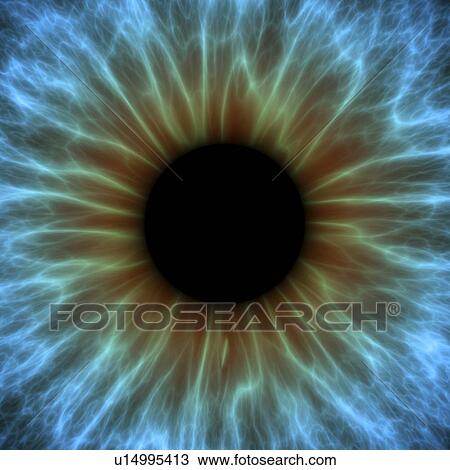 Stock Image - Eye. Computer artwork of a close-up of the iris and pupil of an eye. The iris, a coloured muscular ring, regulates the amount of light that enters the eye through the pupil (black)... Fotosearch