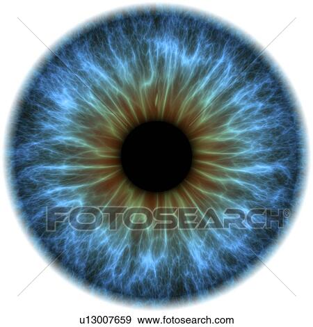 Stock Photo - Eye. Computer artwork of a close-up of the iris and pupil of an eye. The iris, a coloured muscular ring, regulates the amount of light that enters the eye through the pupil (black).. Fotosearch