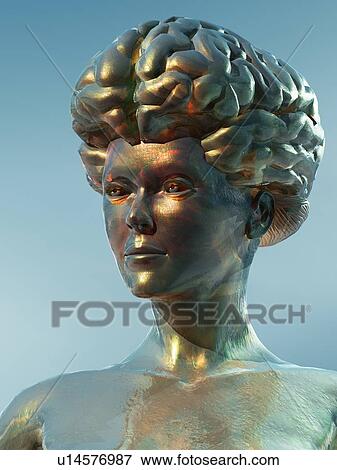 Female intelligence, conceptual computer artwork. View Large Photo Image Stock Photo - Female intelligence, conceptual computer artwork.. Fotosearch