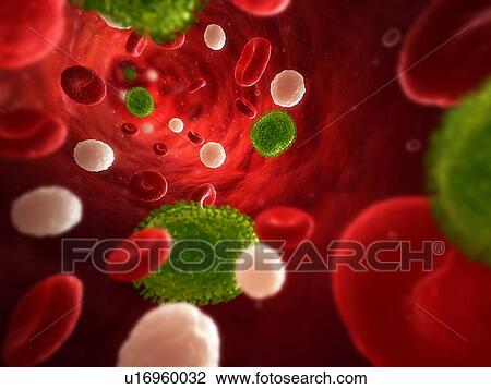 Stock Image - Flu infection, conceptual computer artwork. Influenza virus particles in the blood stream.. Fotosearch