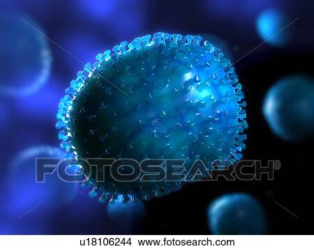Flu virus, computer artwork. View Large Photo Image Picture - Flu virus, computer artwork.. Fotosearch