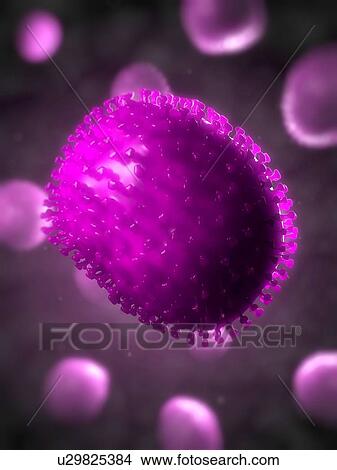 Picture - Flu virus, computer artwork.. Fotosearch